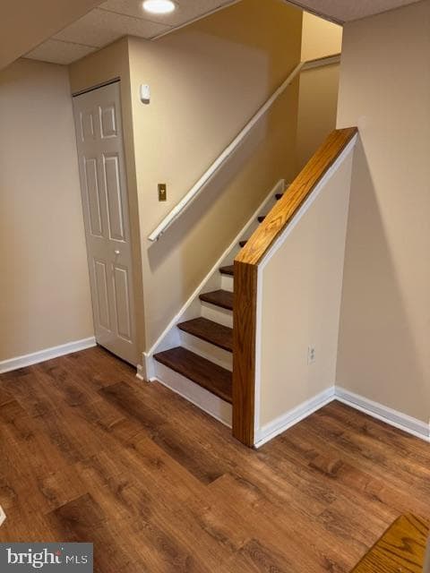 278 Emily Lane photo 59