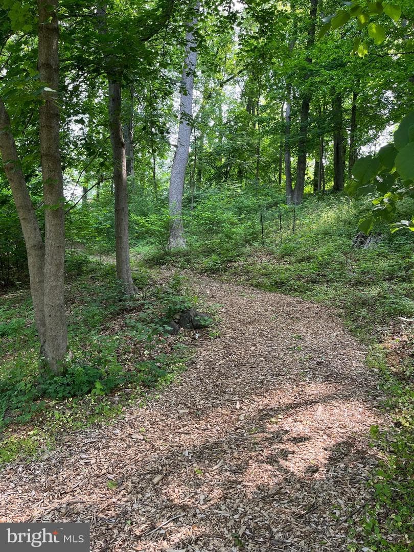 1650 Mount Pleasant Road photo 52