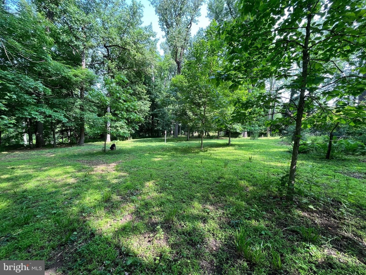 1650 Mount Pleasant Road photo 53