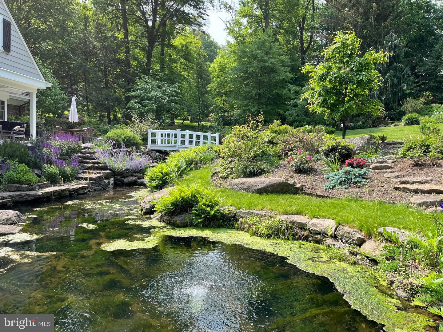 1660 Mount Pleasant Road photo 34