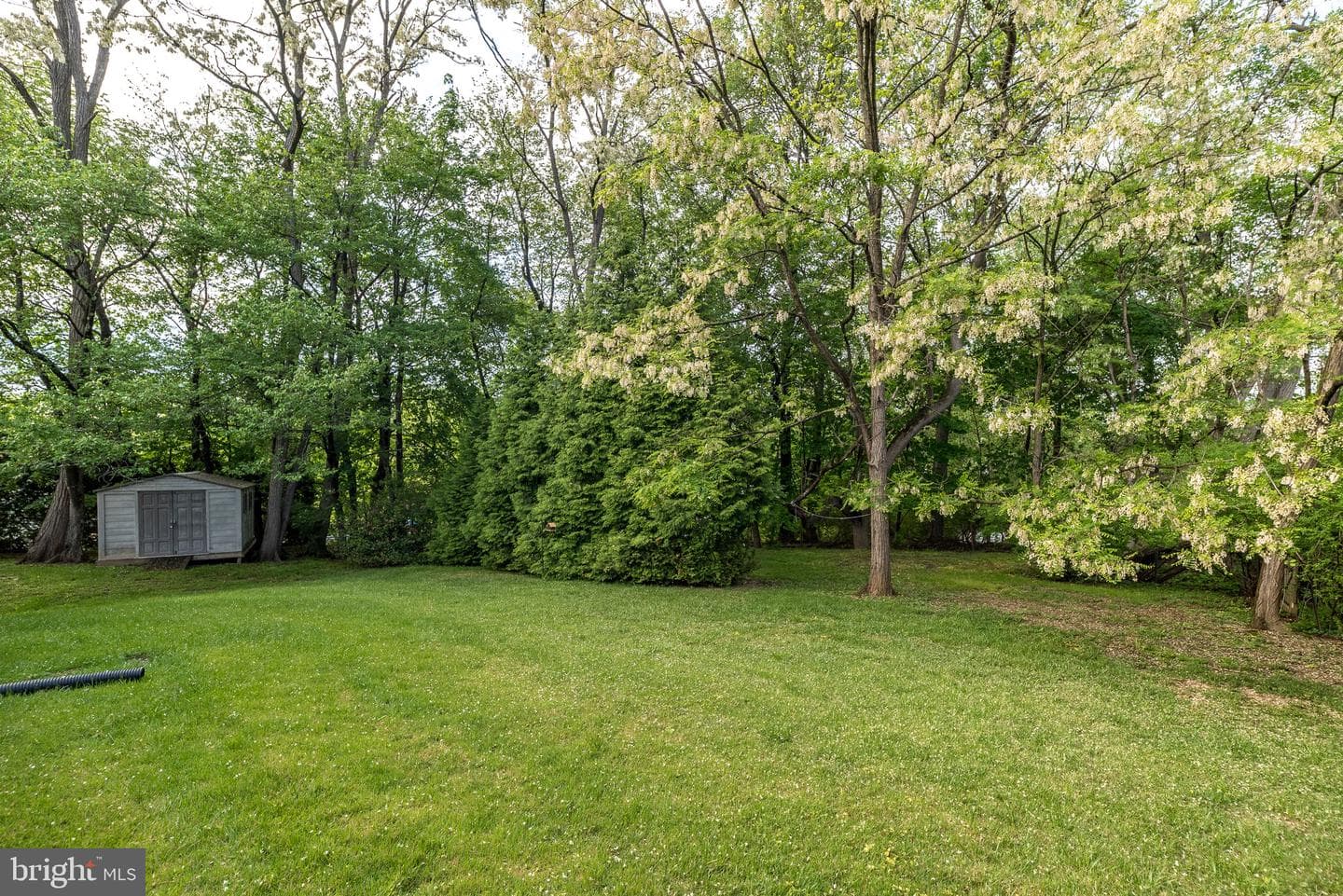 250 Hill Avenue photo 50