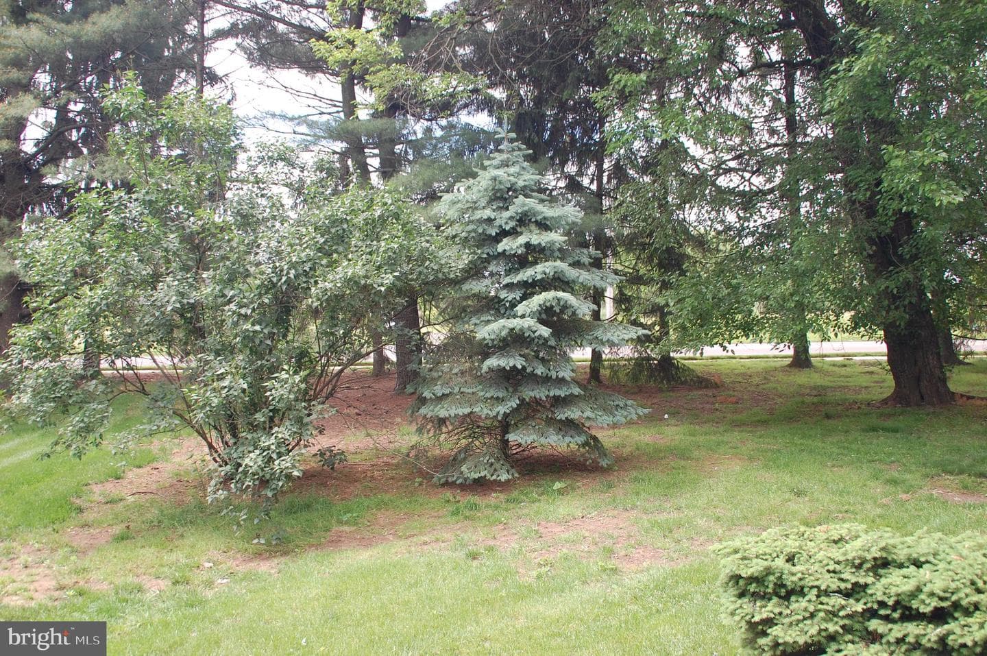 404 Franklin Court photo 27