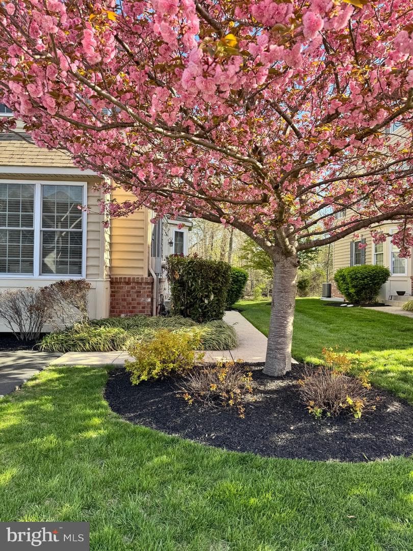 947 Dutch Drive photo 6