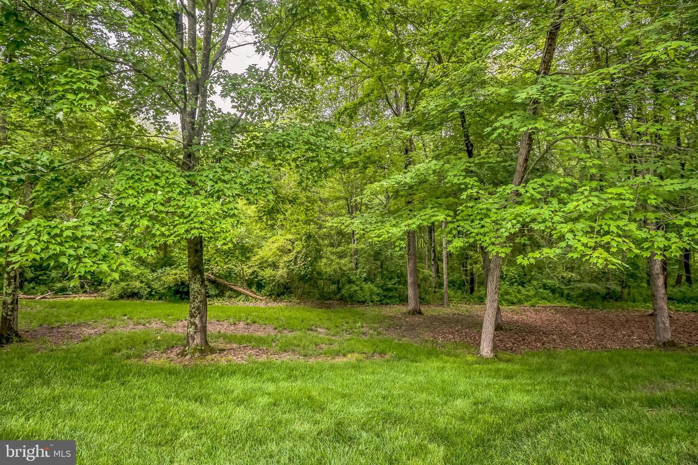 262 Running Water Court photo 47