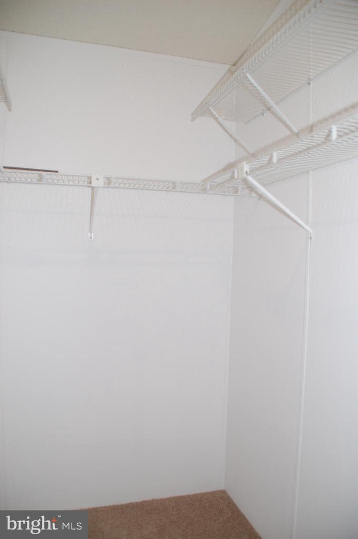 425 Westbury Drive photo 30