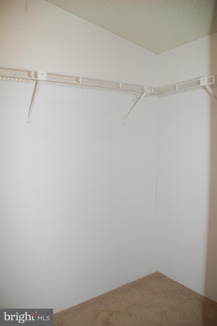 425 Westbury Drive photo 33