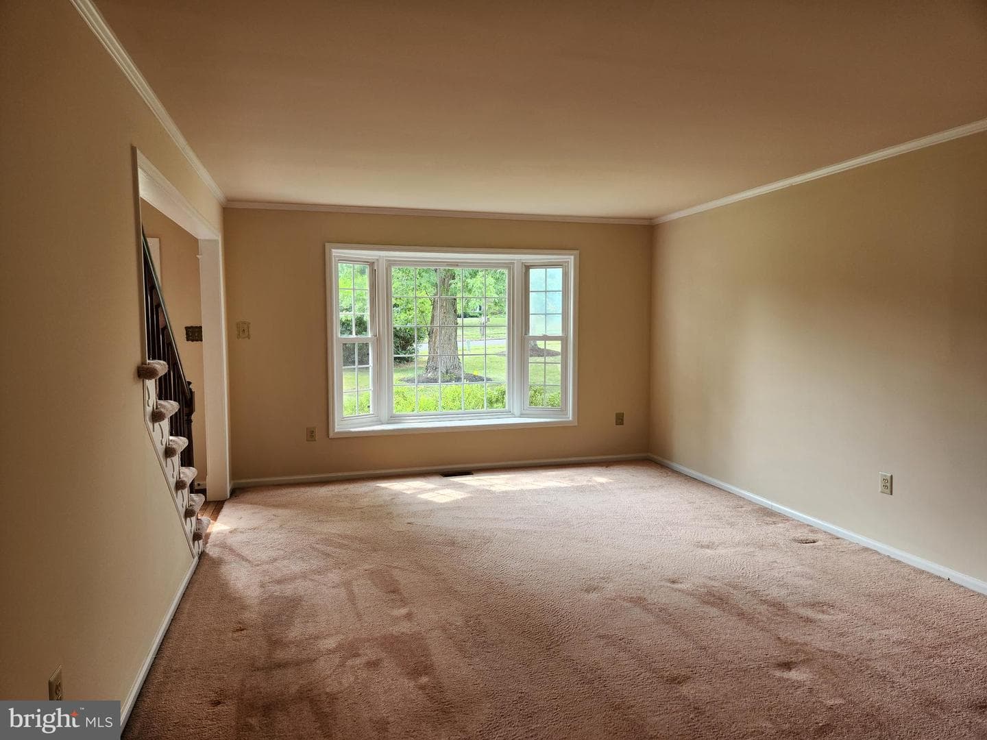 1907 Armstrong Drive photo 7