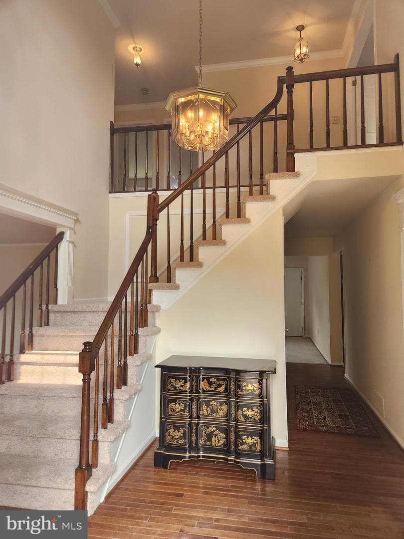 1907 Armstrong Drive photo 8