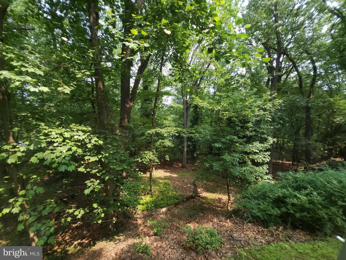 540 Weadley Road photo 23