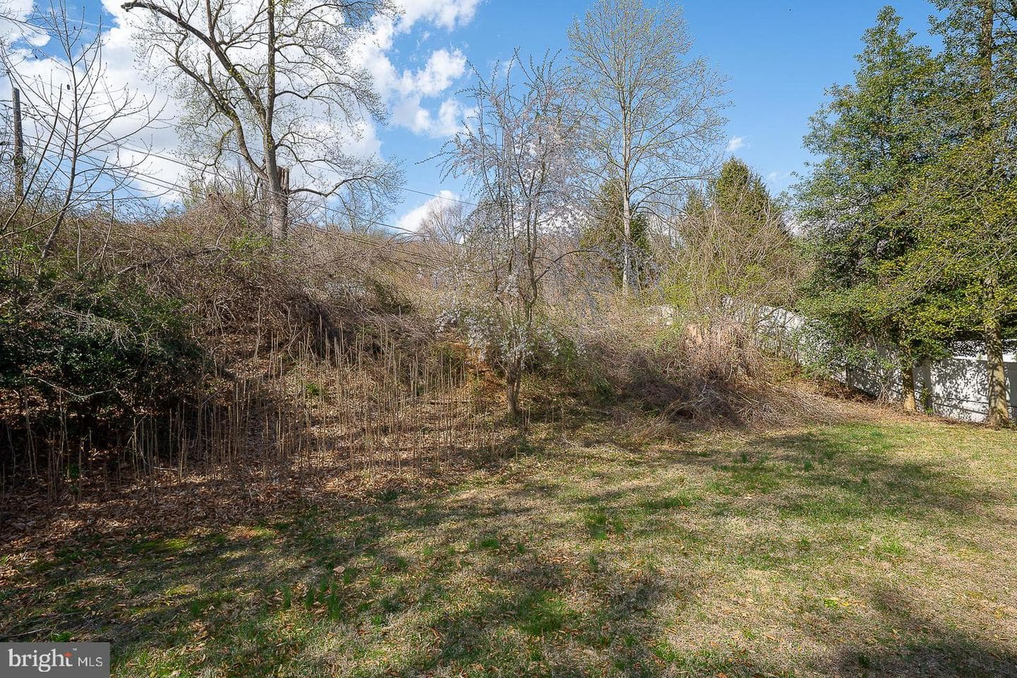 161 Lantern Lane photo 44