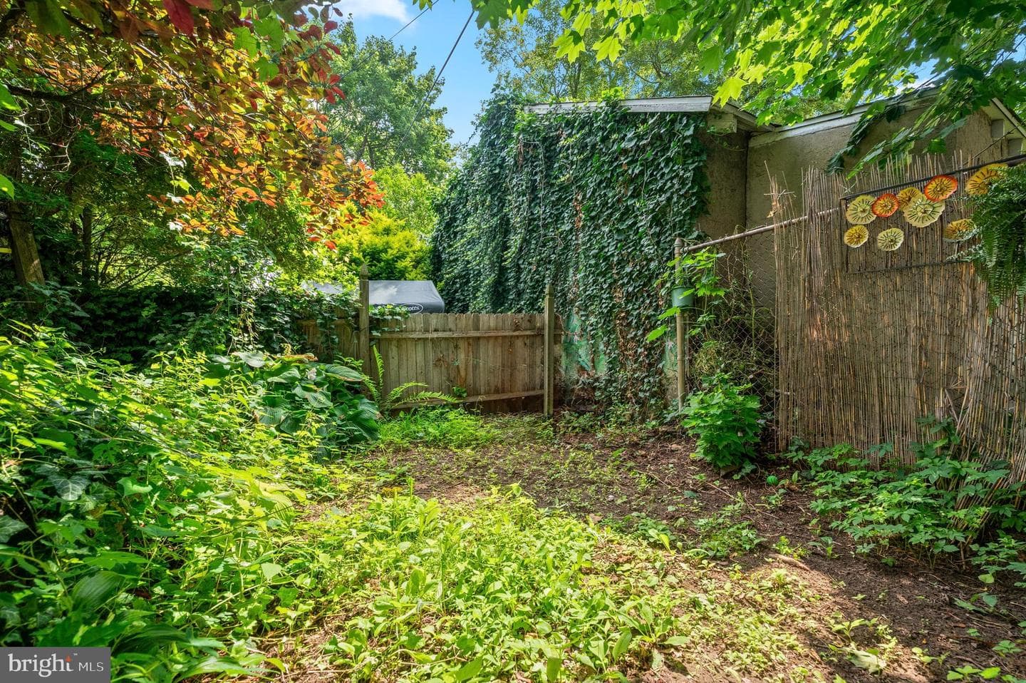 135 Simpson Road photo 25