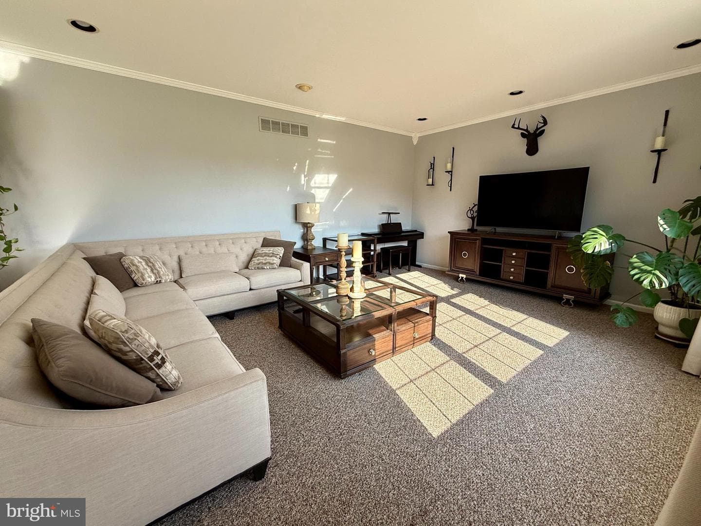 138 Bradford Drive photo 20