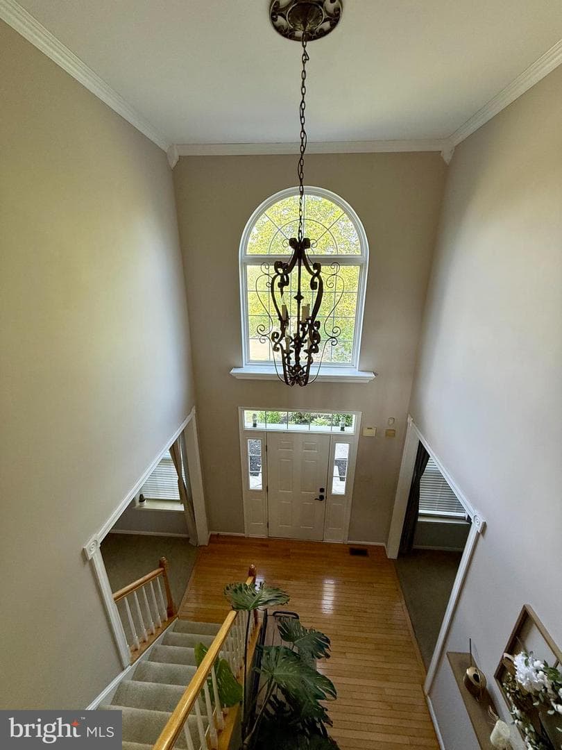 138 Bradford Drive photo 8