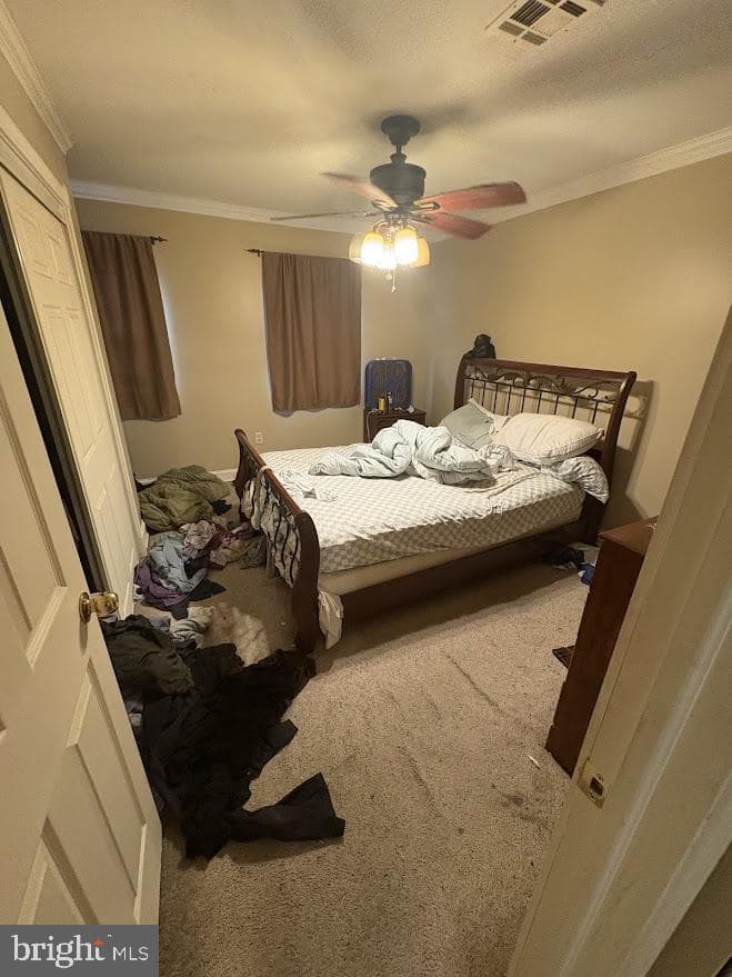 205 Whitpain Hills photo 16