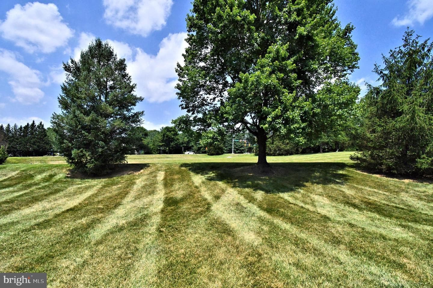 19 Firethorn Drive photo 44