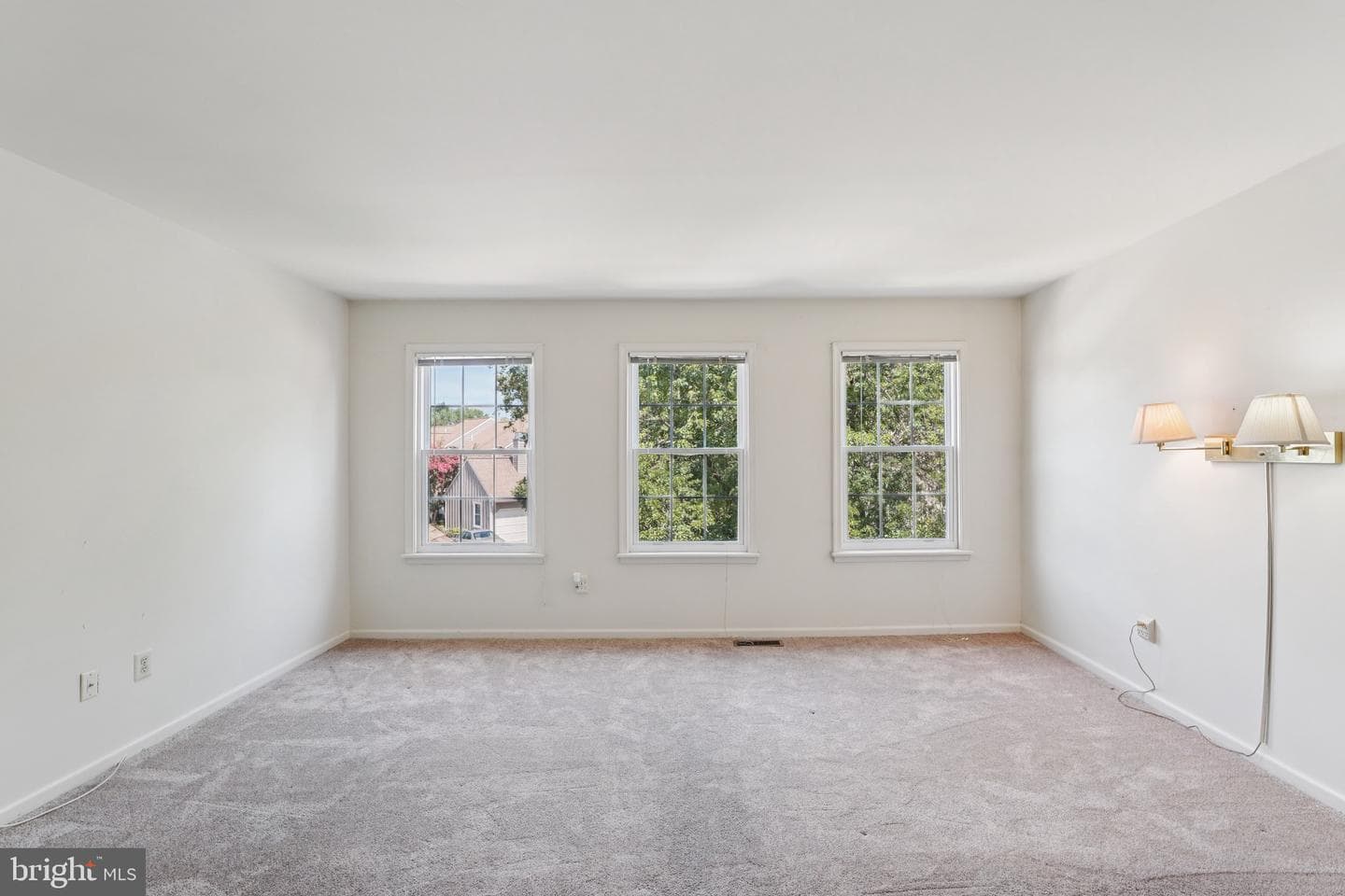 250 Tulip Tree Court photo 15