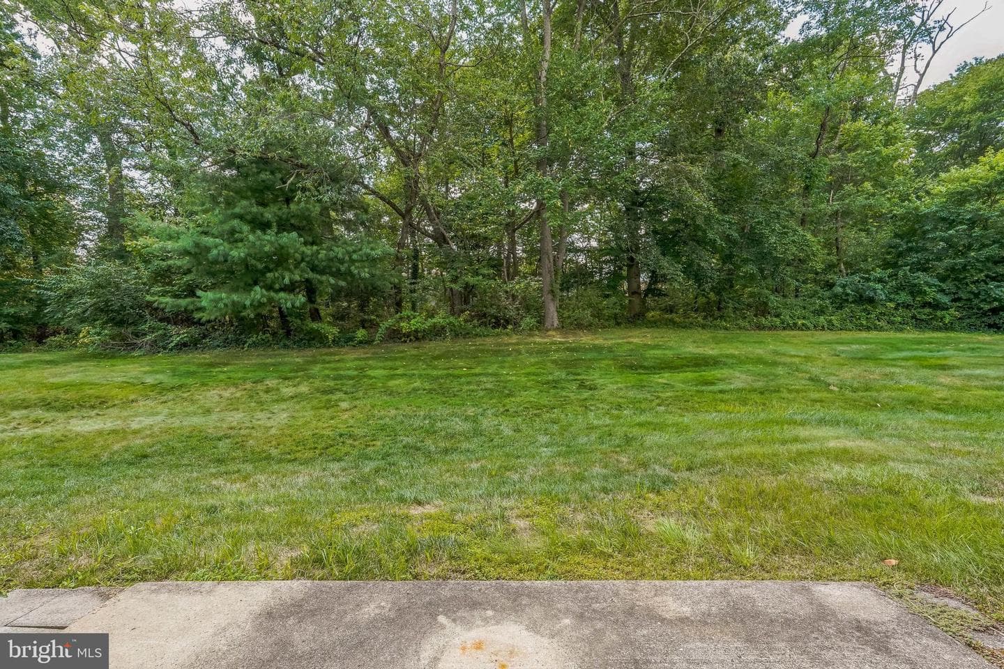 250 Tulip Tree Court photo 28
