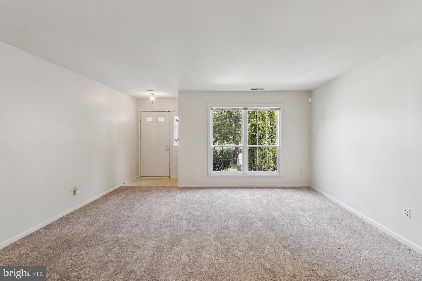 250 Tulip Tree Court photo 9