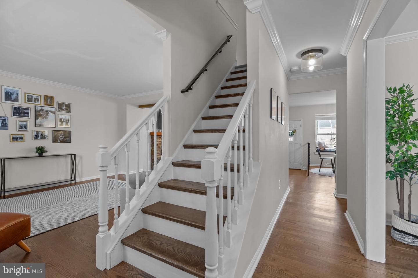119 Shelburne Drive photo 4