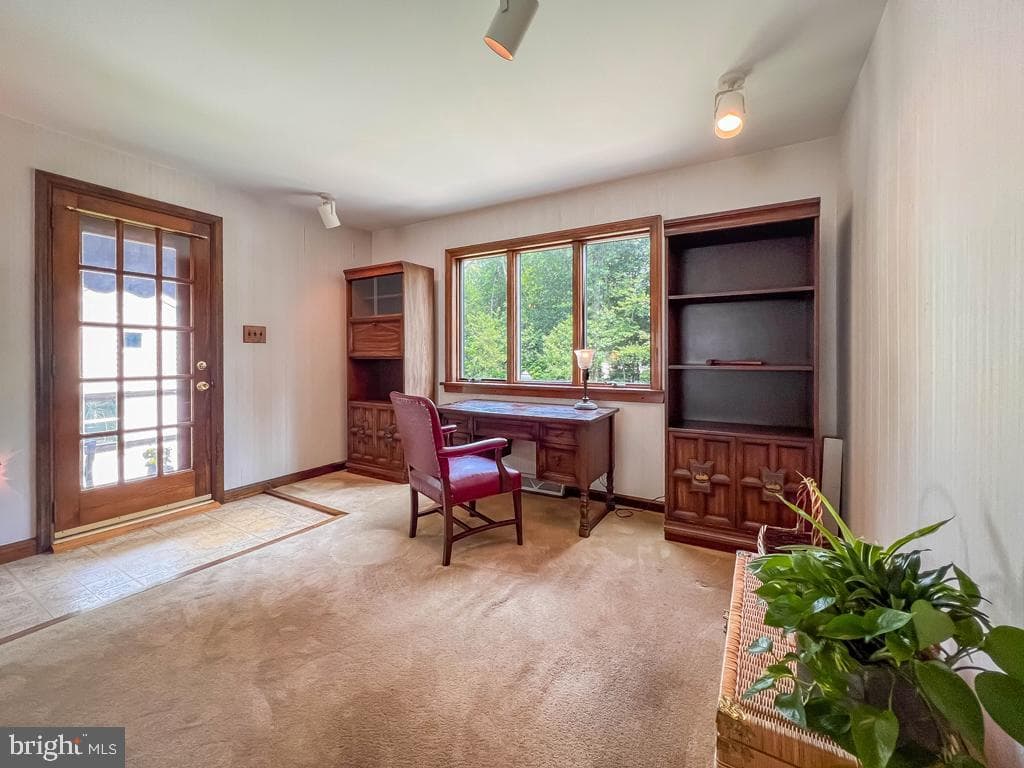 4295 Minnie Lane photo 21