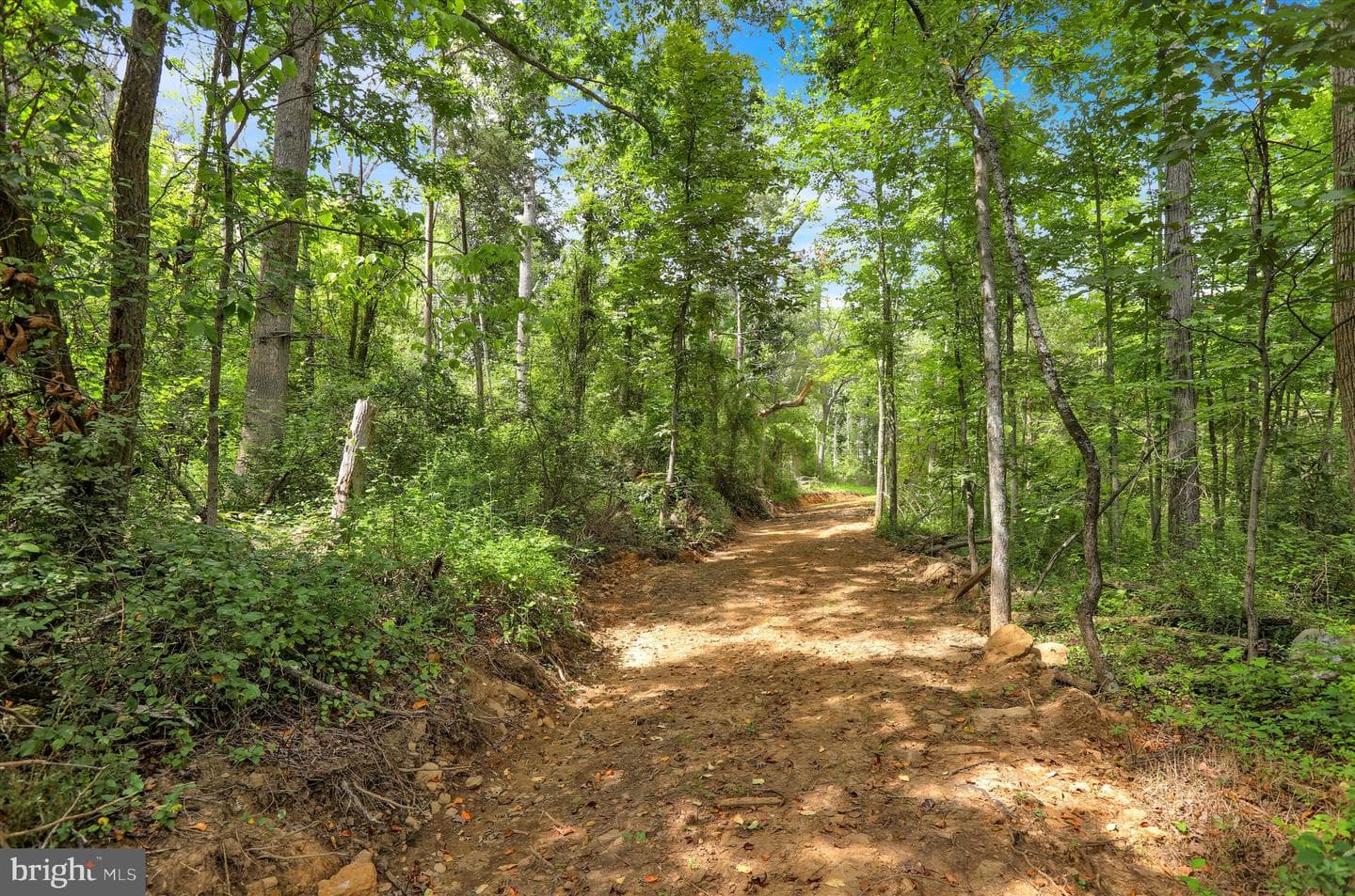 1715 Gravel Pike photo 78