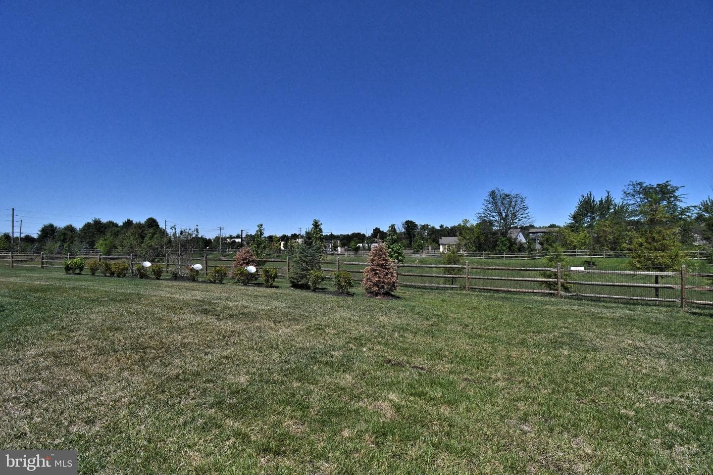 1024 Wright Street photo 27