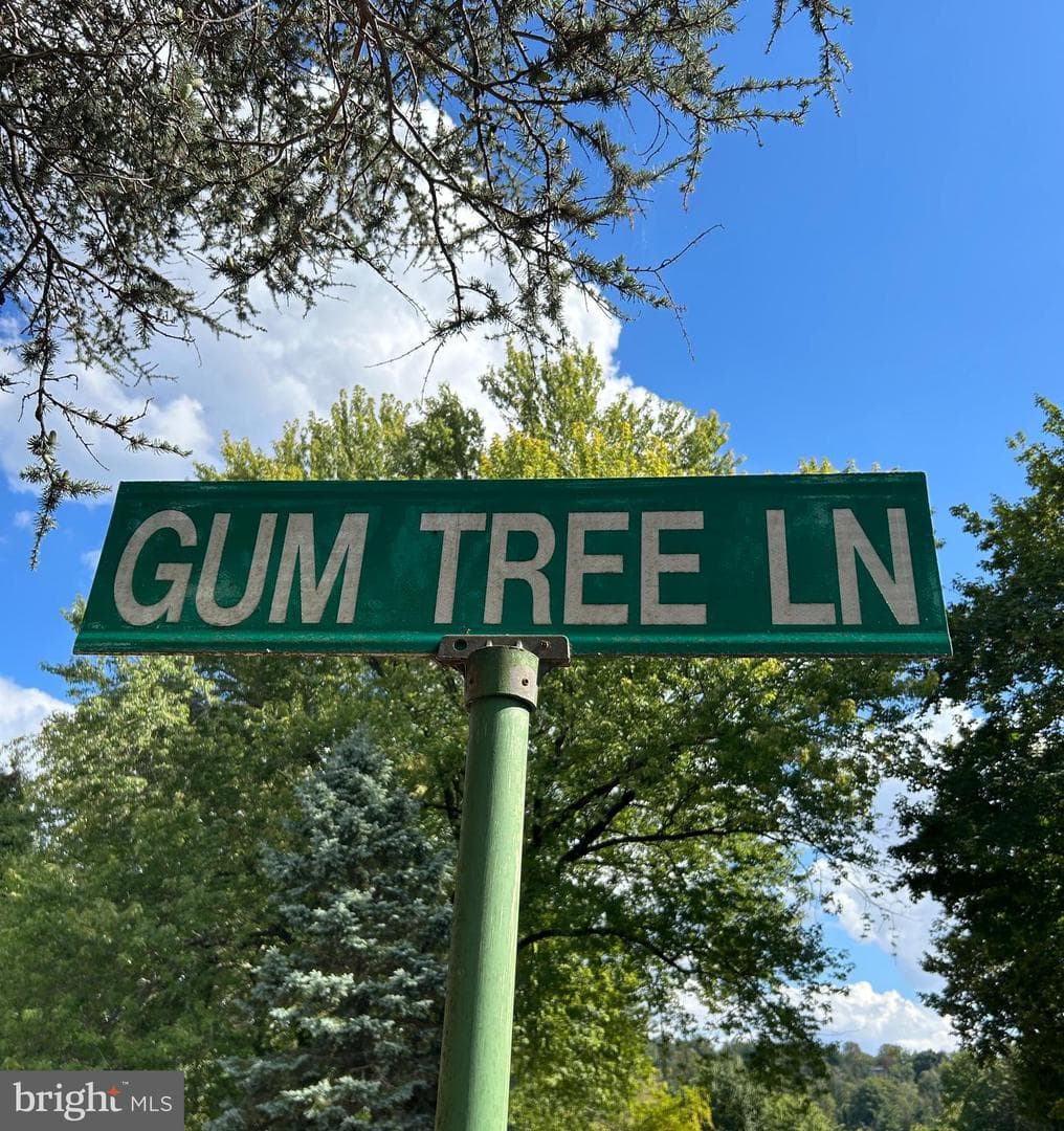 10 Gum Tree Road photo 29