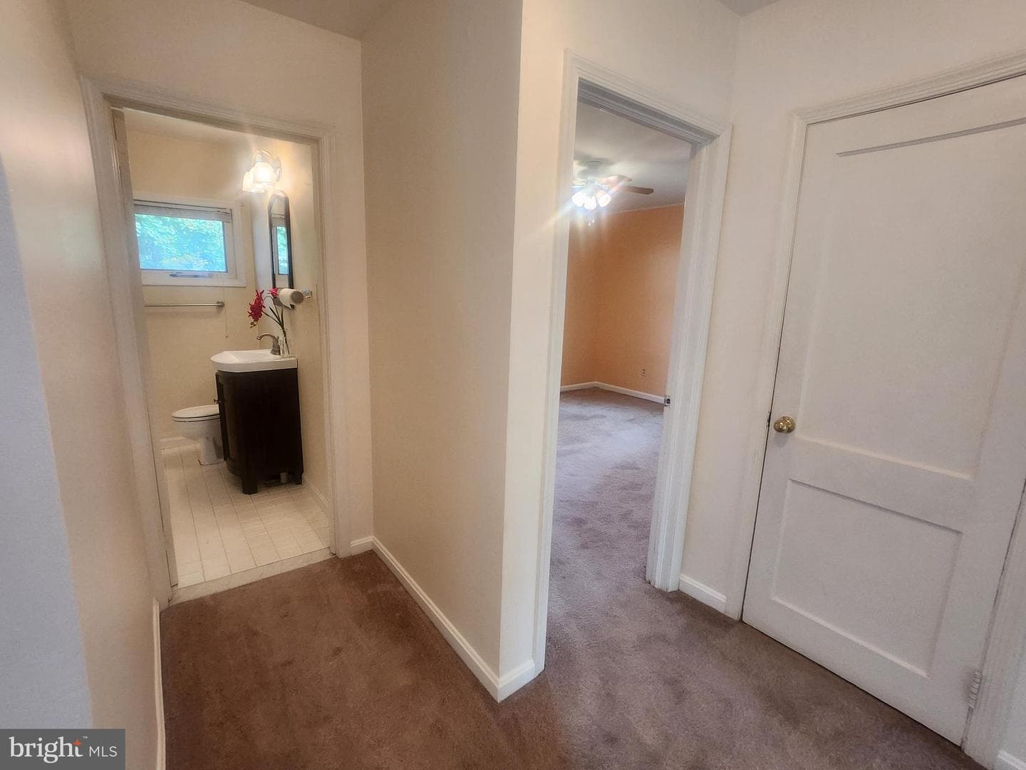 1513 E Willow Grove Avenue photo 22