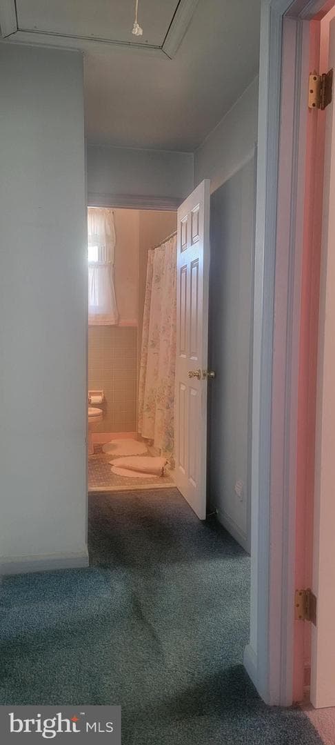 111 Lafayette Road photo 12