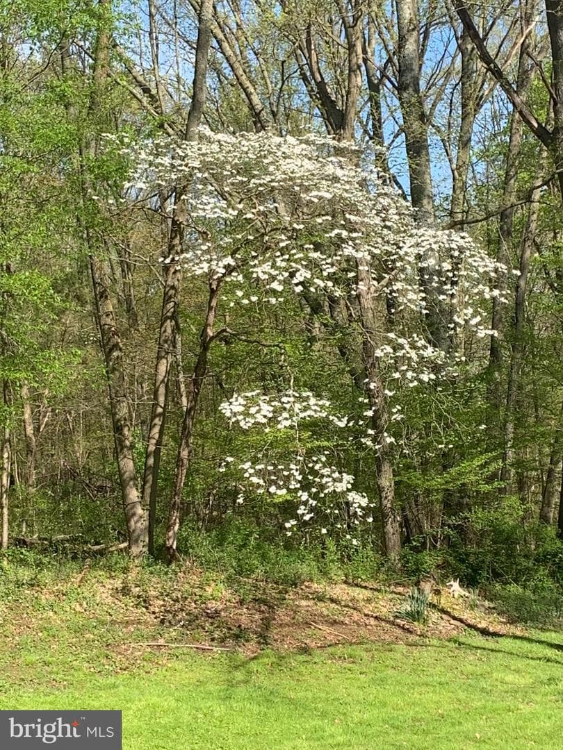 501 N Bethlehem Pike #13-B photo 38