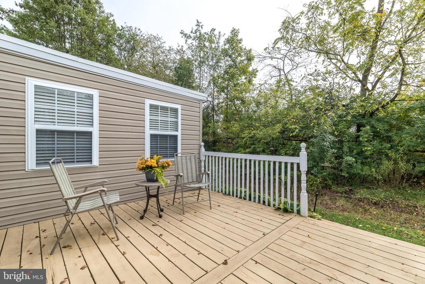 25 Chestnut Court E photo 7