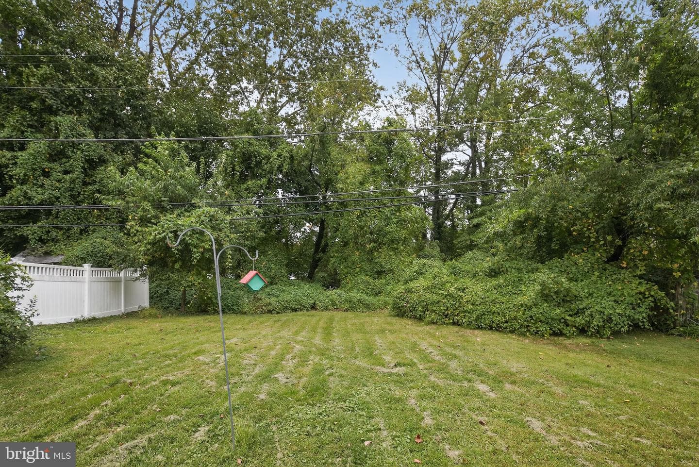 204 Cowbell Road photo 22