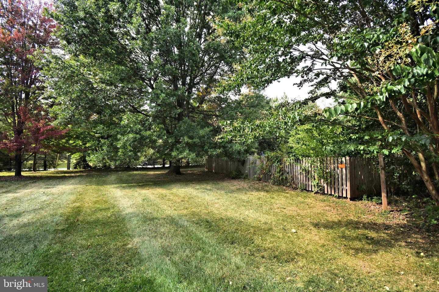 2234 Locust Drive photo 58