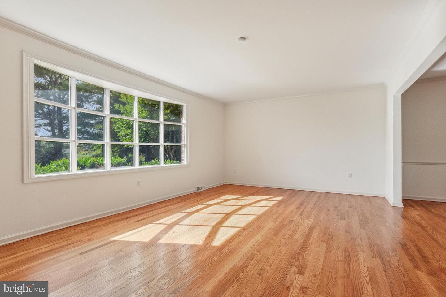 1511 Susan Drive photo 3