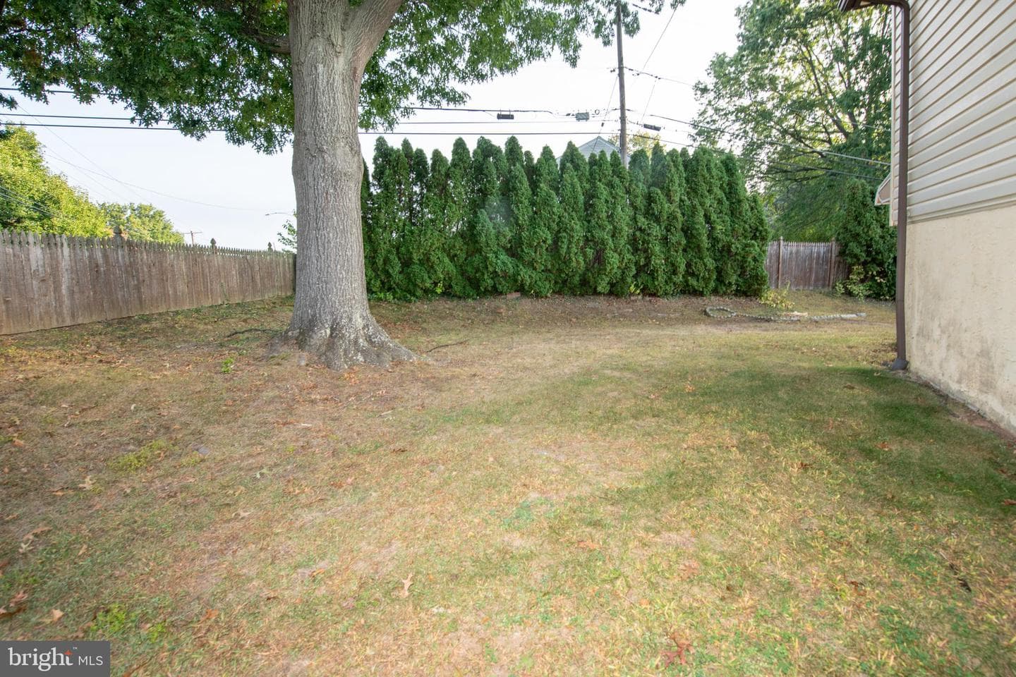 247 Leona Avenue photo 48