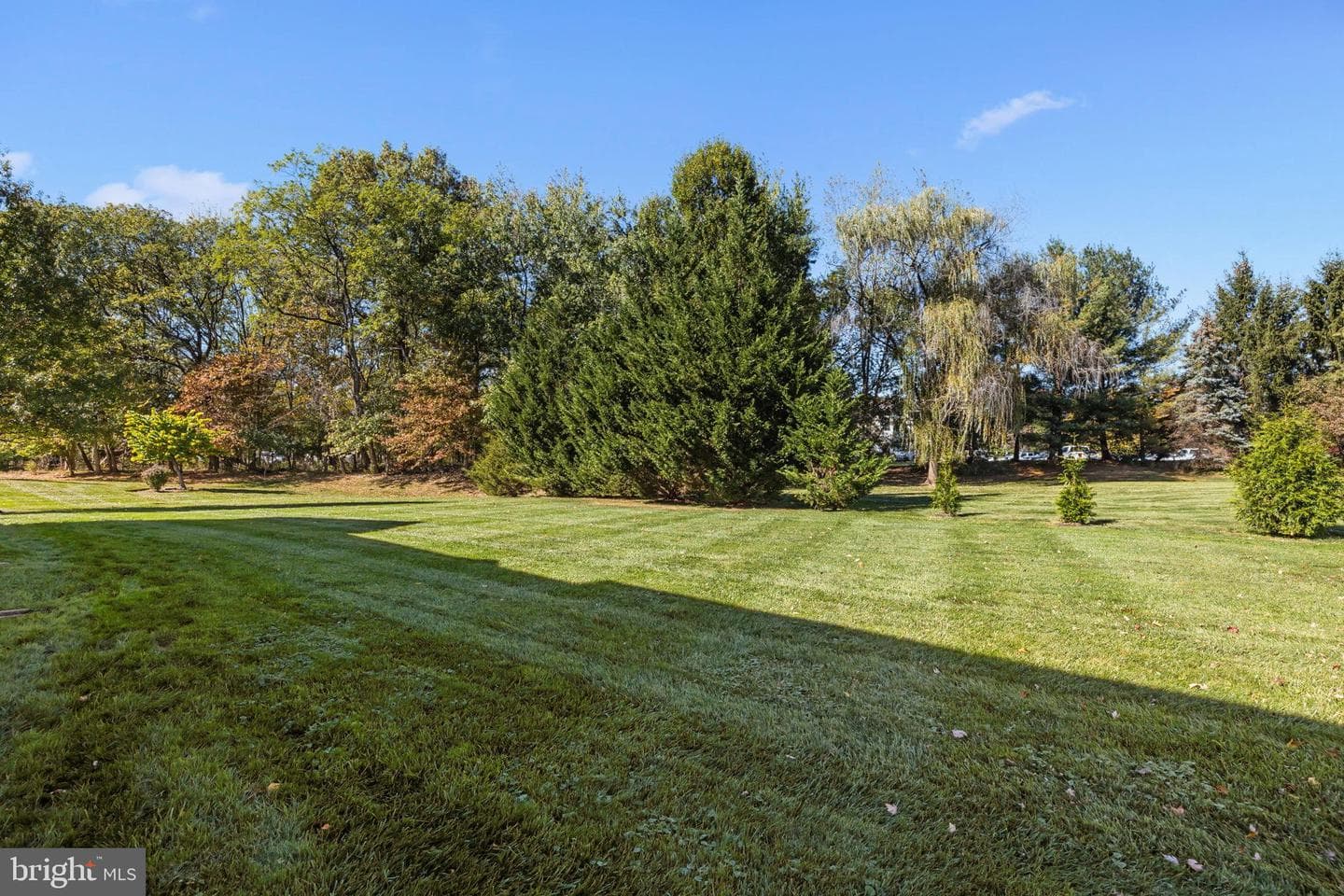 1120 Kingsley Hall Drive photo 50