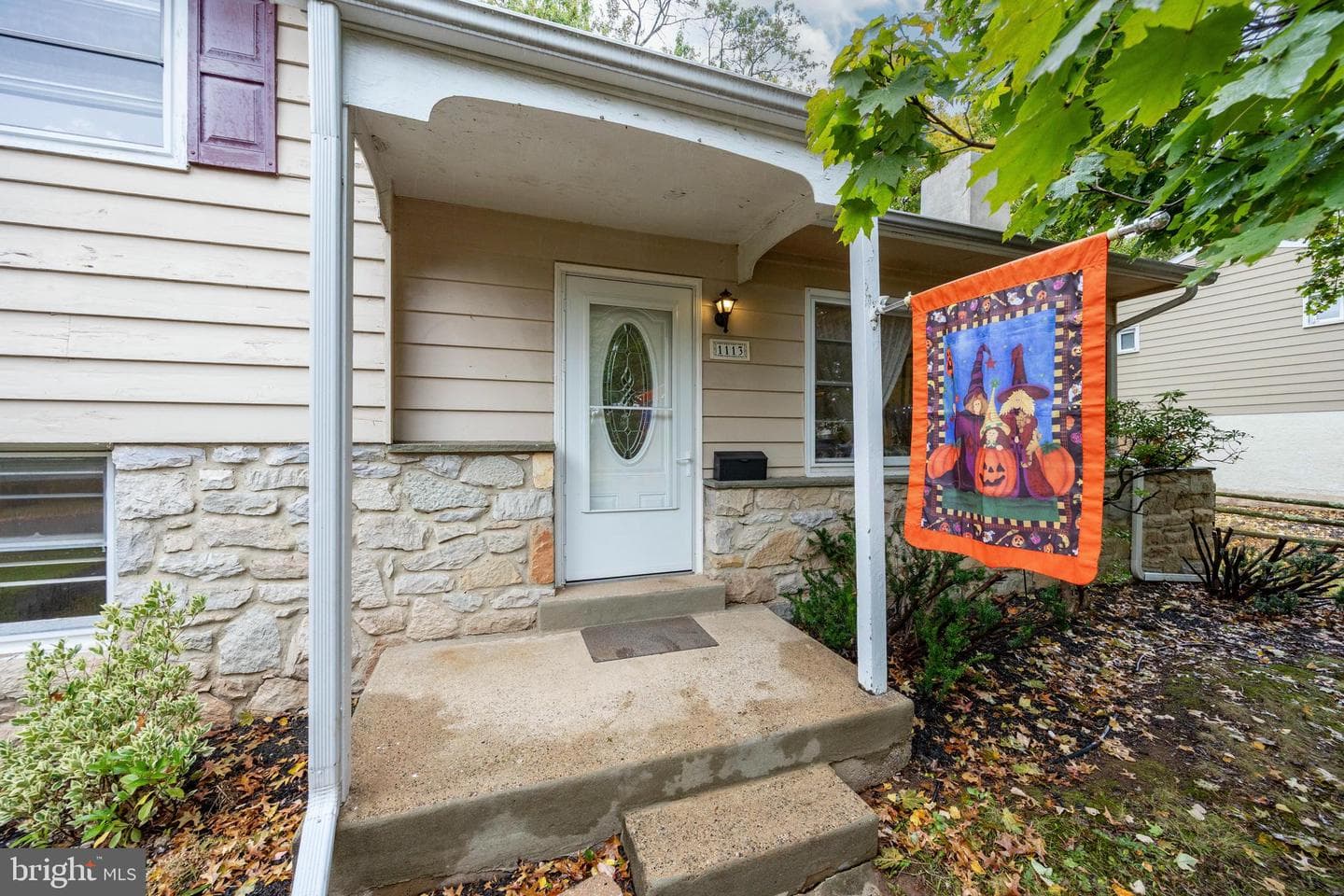 1113 York Avenue photo 1