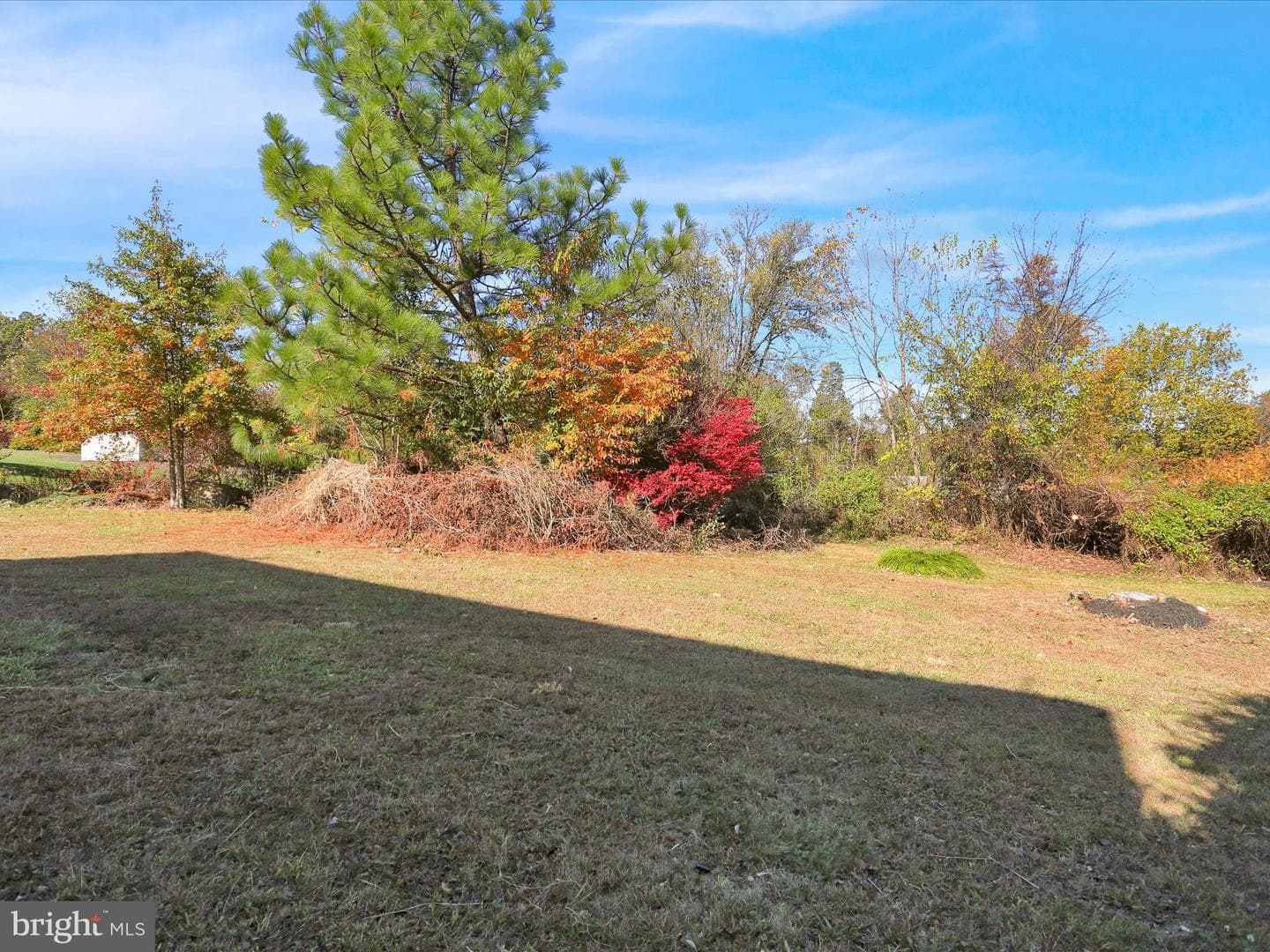 164 Birdsong Way photo 82