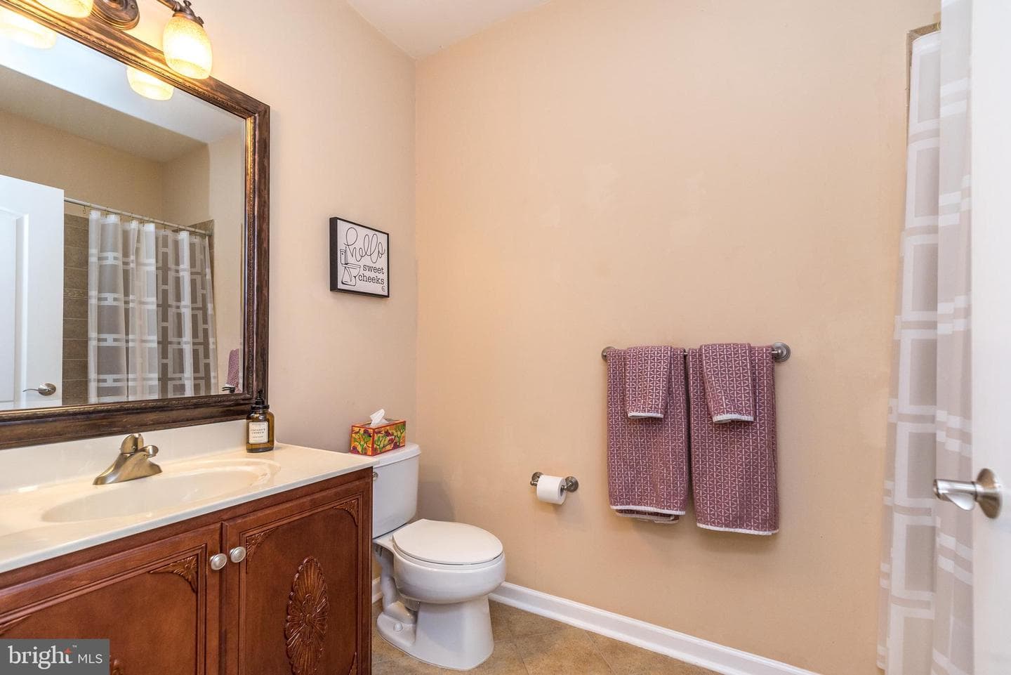 207 Carson Terrace photo 31