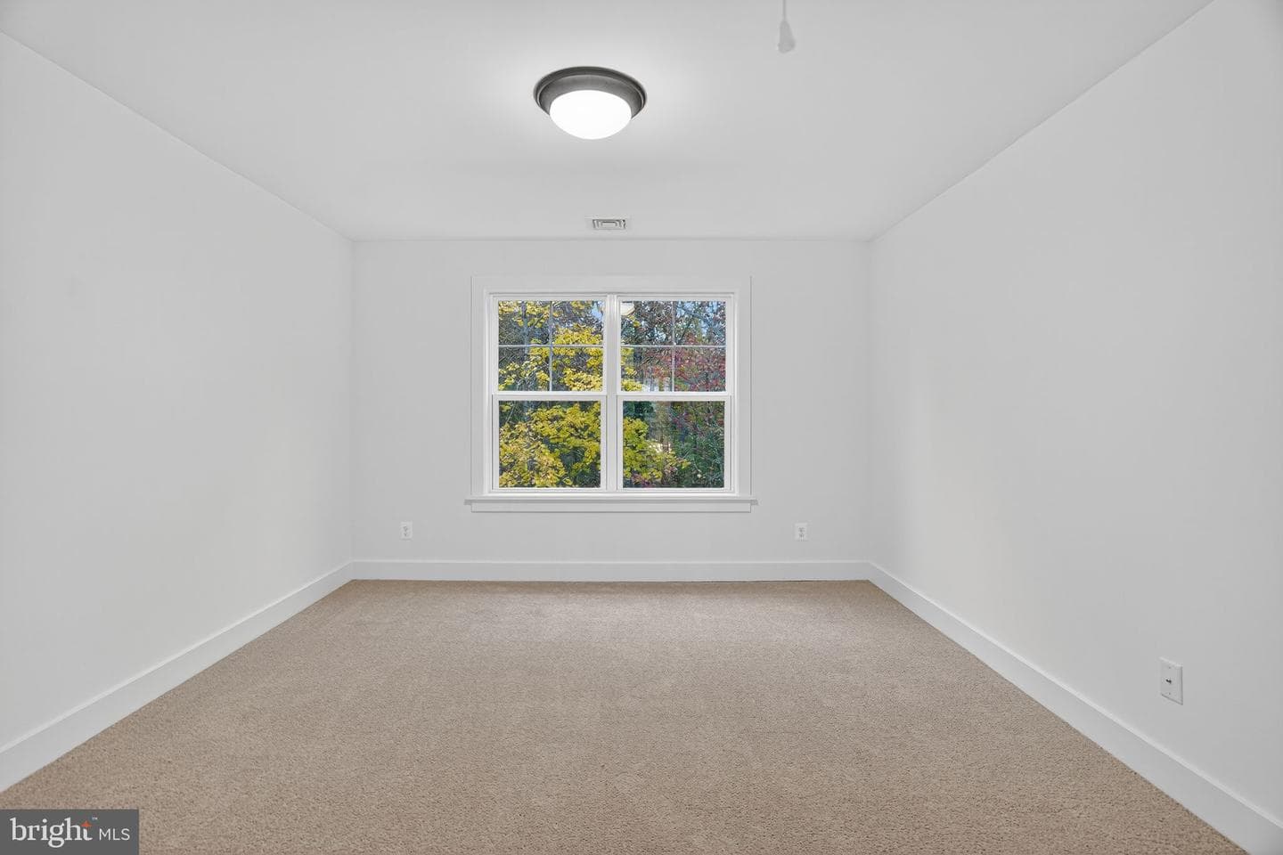 52 Wartman Road photo 23
