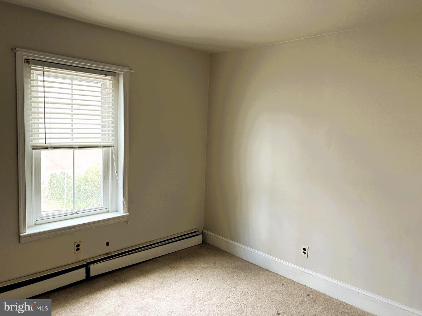 150 Forrest Avenue photo 13