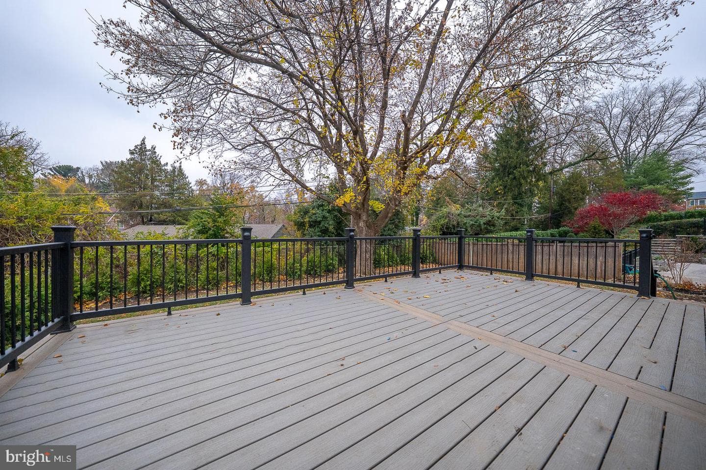 115 David Road photo 52