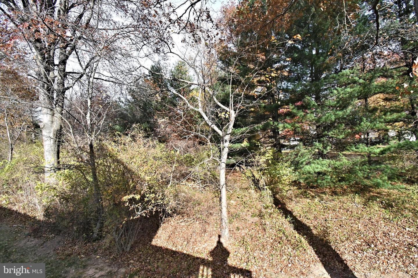37 Stuart Dr photo 37