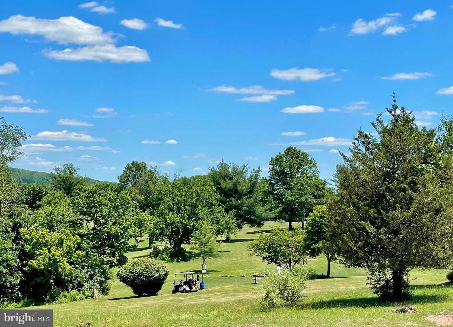 226 Cemetery Road photo 30