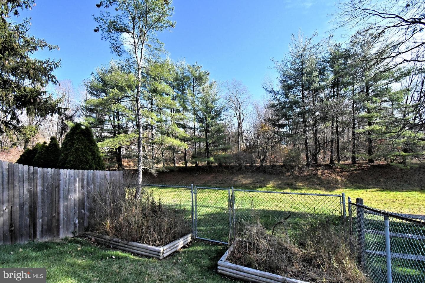 53 Loggers Mill Road photo 41