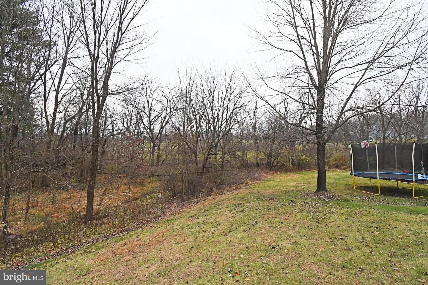 340 Vanderbilt Lane photo 50