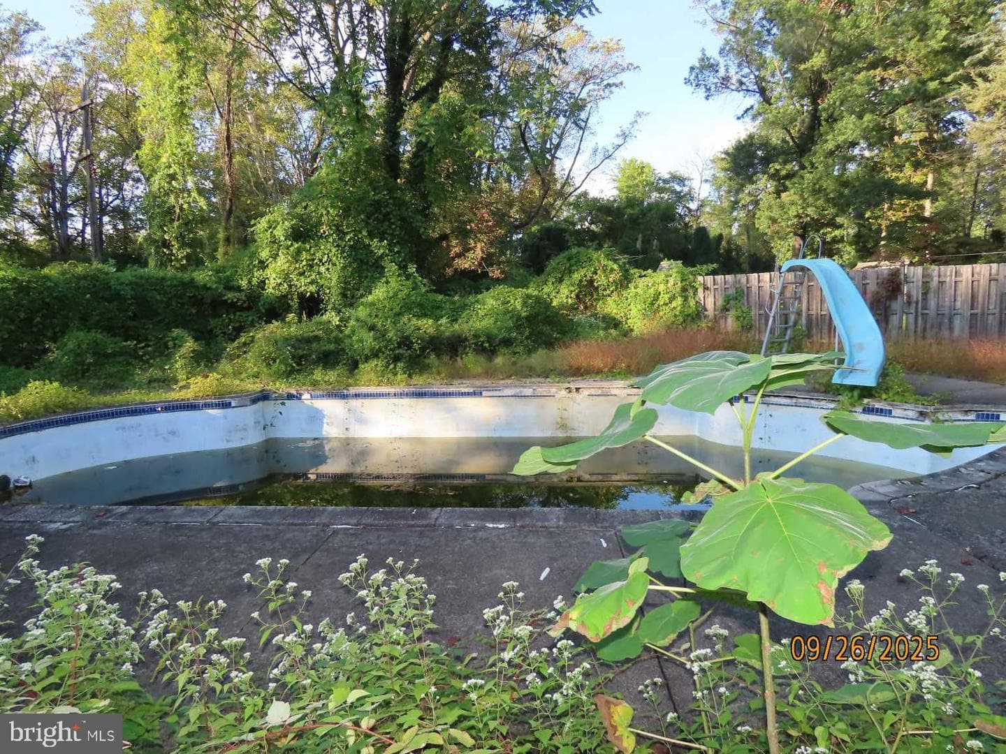 1710 Twining Rd photo 17
