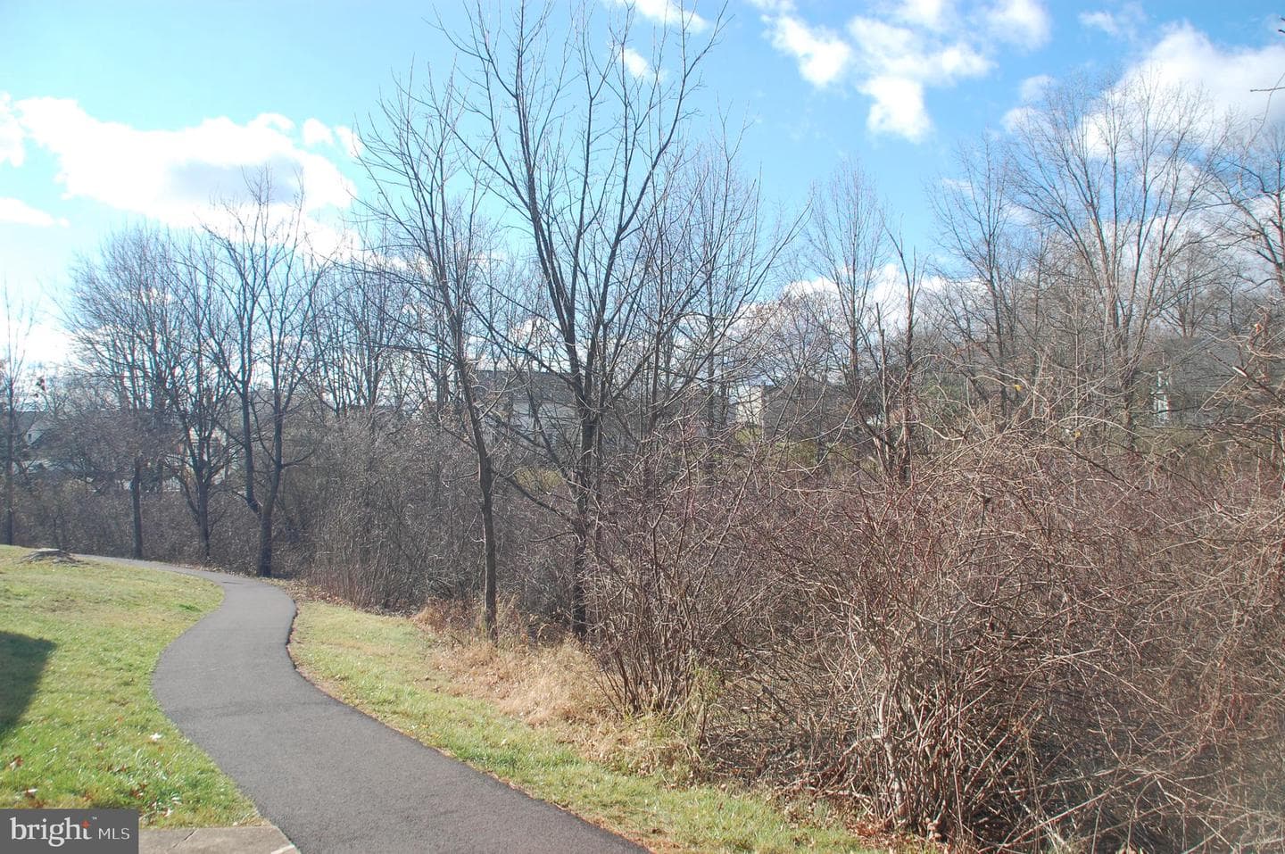 412 Westbury Drive photo 45