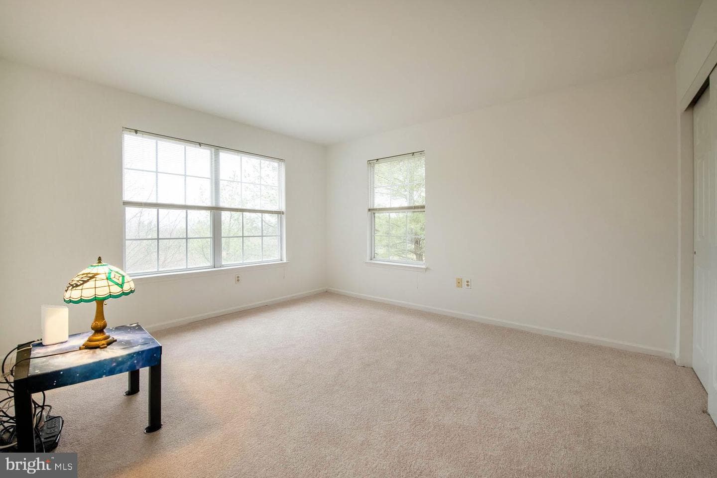 116 Scarlet Oak Drive photo 29
