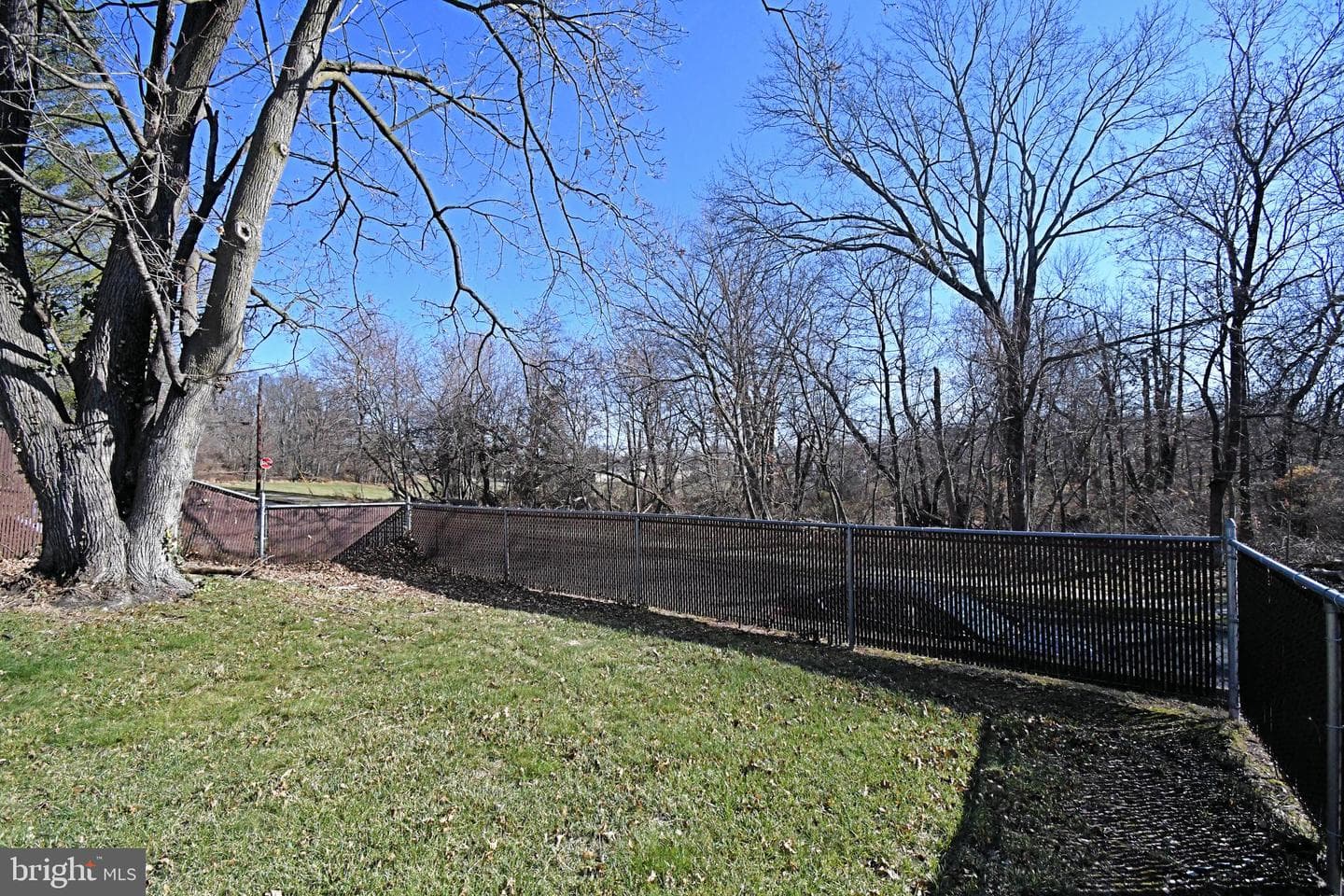 2803 Lamott Avenue photo 46